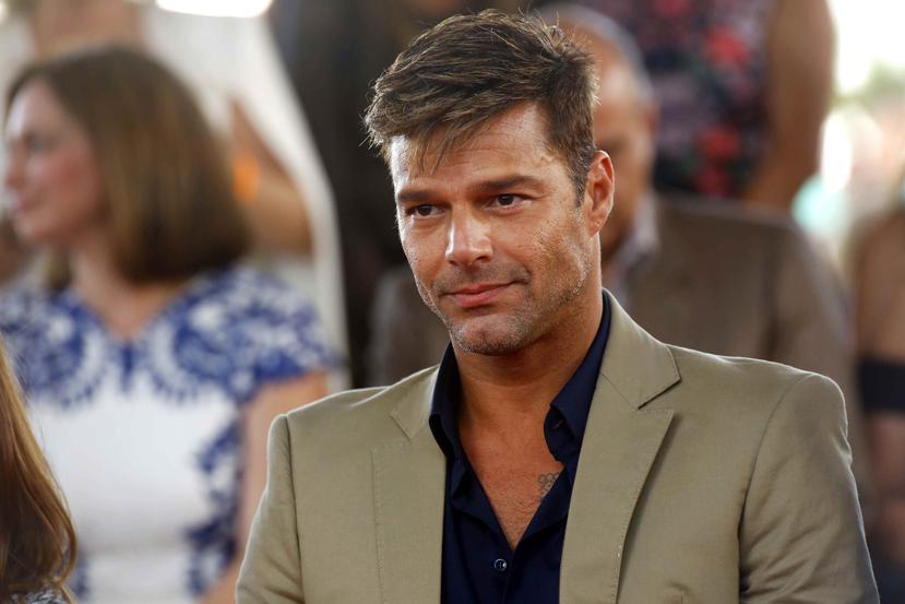 En una entrevista, Ricky Martin aludió a sus pequeños, Matteo y Valentino: “Mis hijos son muy jóvenes, pero me gustaría que fueran gays”, declaró.