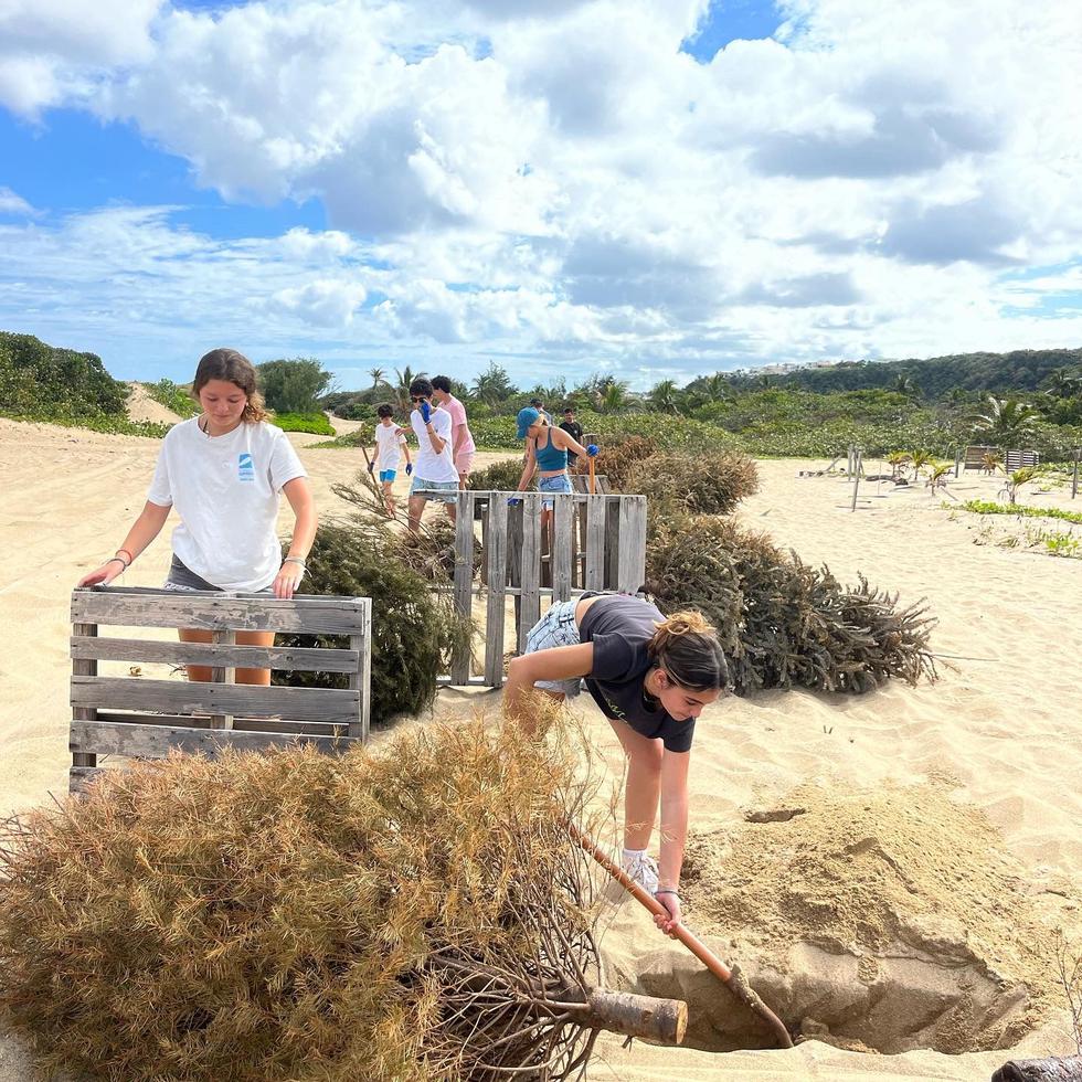 Surfrider Puerto Rico contribuye con restauración de dunas en Miami, Florida