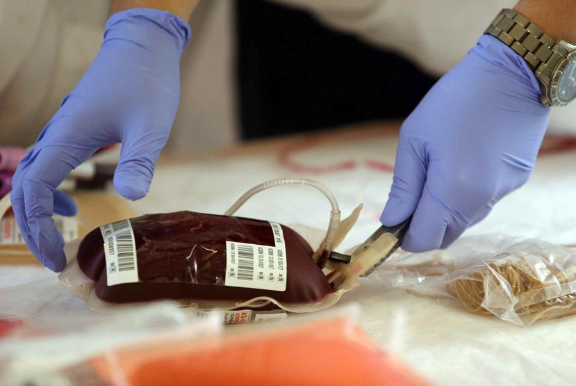 Una pinta de sangre puede ayudar a salvar cuatro vidas. (GFR Media / Archivo)