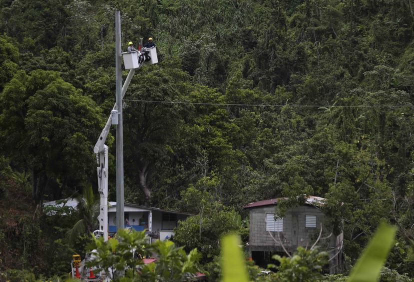 Unos empleados de la Autoridad de Energía Eléctrica colocan cables en un poste. (GFR Media)