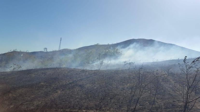 Fuego forestal en Coamo. (Captura Facebook/ Cuerpo de Bomberos)