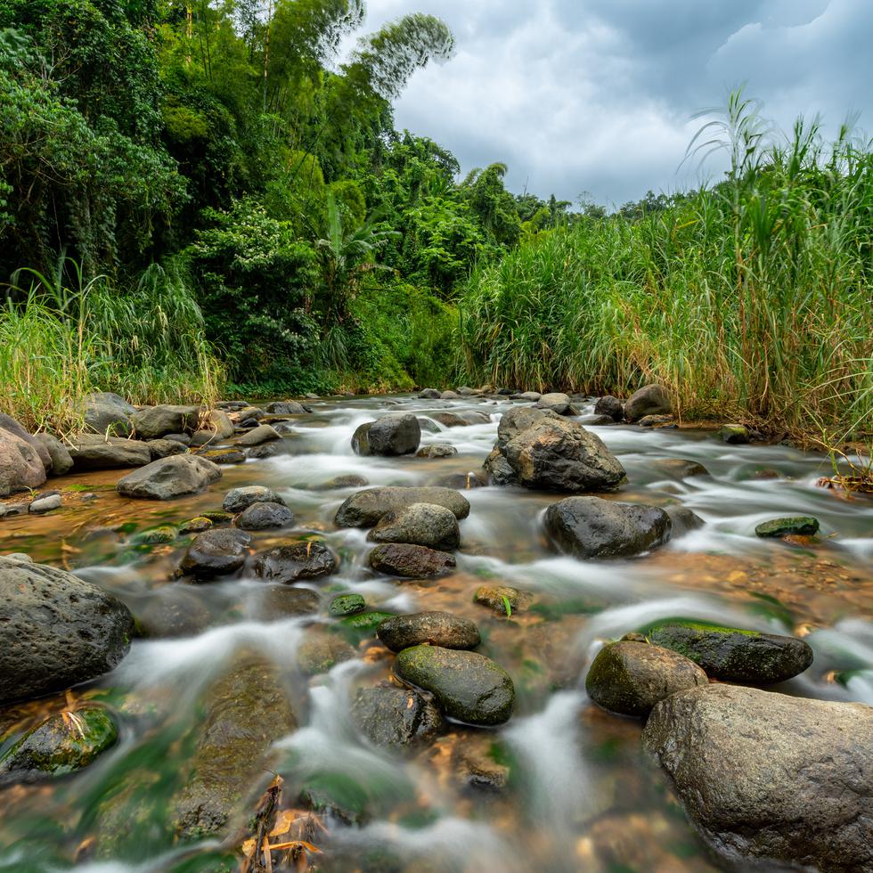 El Río Guaba, donde puedes darte un refrescante chapuzón.