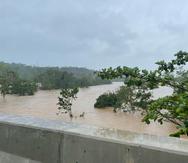 Río Guanajibo desde la carretera PR-100, en Cabo Rojo.