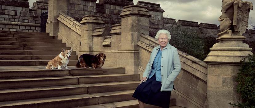 En 2016, Elizabeth II posó con sus perros para una de las fotos con motivo de su cumpleaños número 90. Willow es el corgi que está a la izquierda. (Foto: EFE)