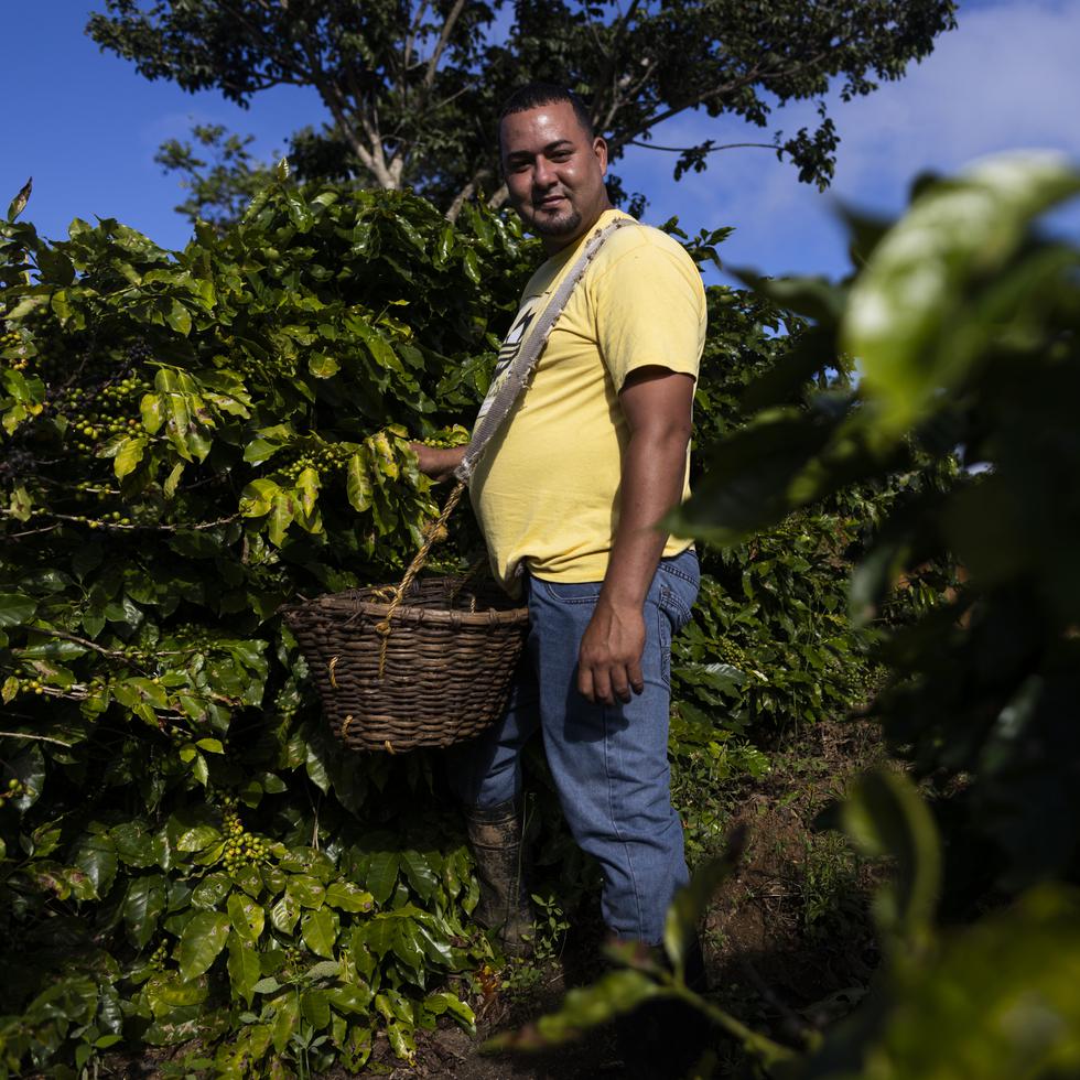 Jeriel García es un joven caficultor maricaeño que desde muy temprano en su vida se ha dedicado al cultivo y recogido del café.