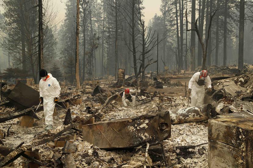 Rescatistas buscan restos humanos en un sitio quemado en Paradise, California. (AP)