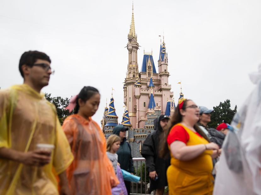 Los trabajadores de servicio de Disney World que están en los seis sindicatos que componen la coalición Service Trades Council Union han estado exigiendo un aumento en el salario mínimo inicial a por lo menos $18 la hora en el primer año del contrato, por arriba del salario mínimo de $15 la hora obtenido en el contrato previo.