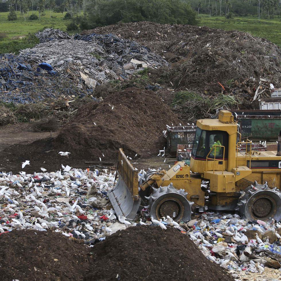 El estudio de caracterización arrojó que el material orgánico compone el 30.2% de la basura en los vertederos.