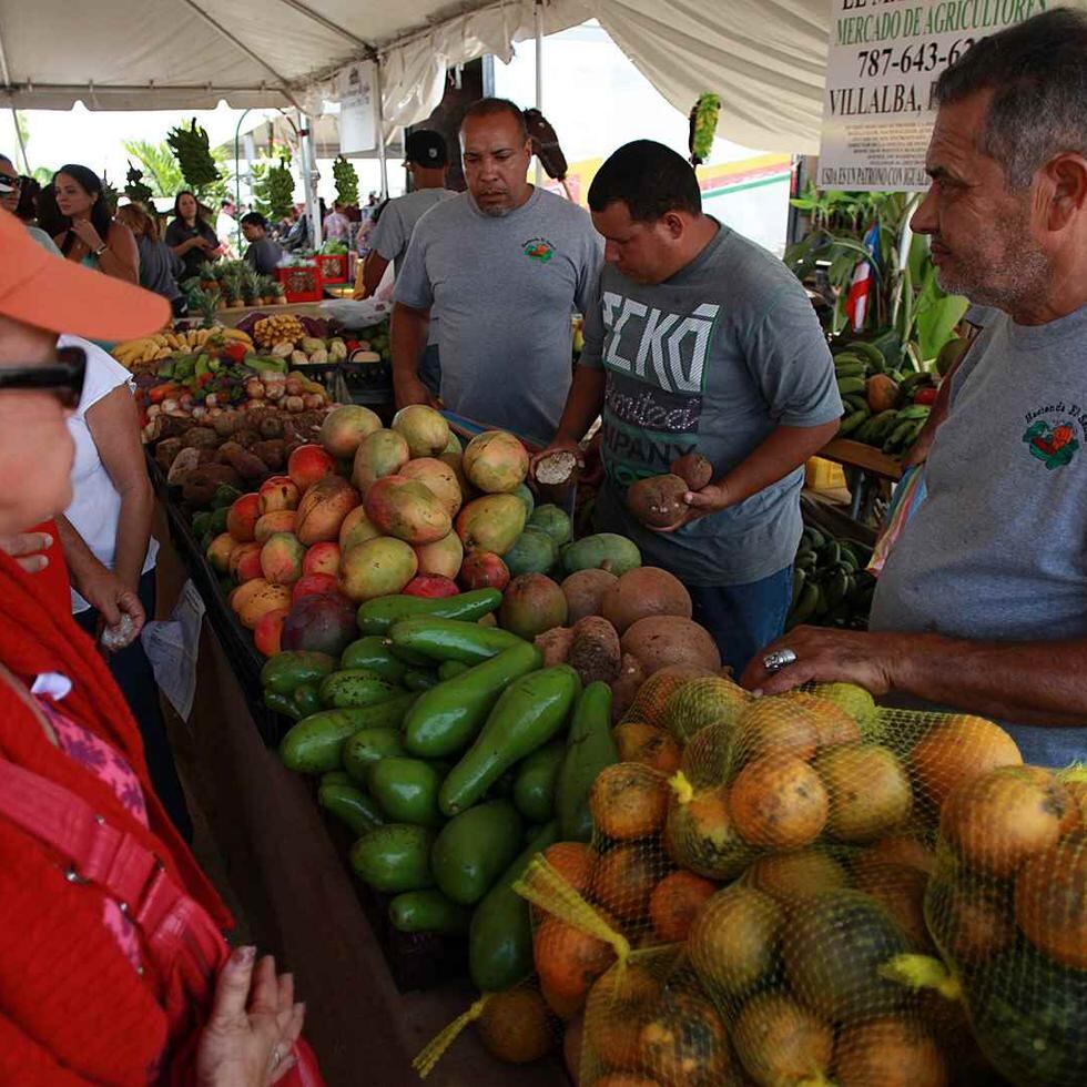 La actividad, además, promueve el conocimiento, el consumo y la importancia del Valle de Lajas como recurso indispensable en la agricultura puertorriqueña.