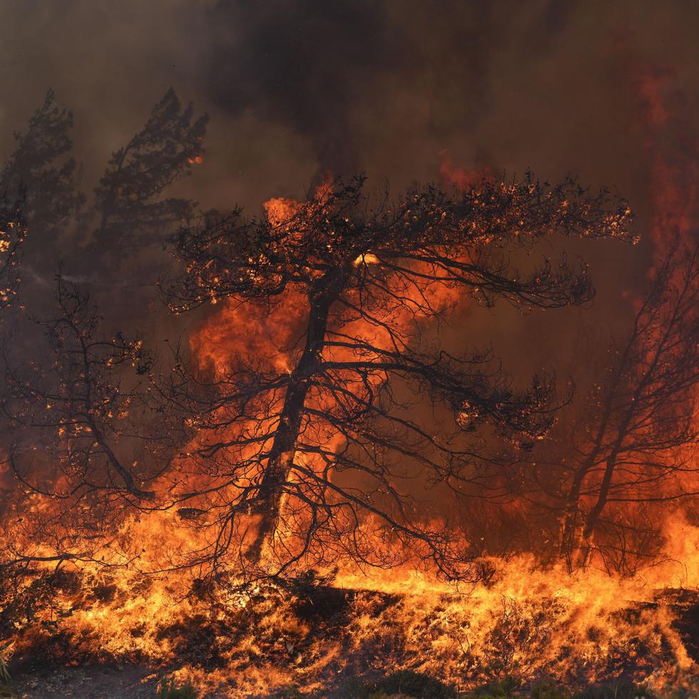 Arde la aldea de Vati en un bosque de la isla de Rodas, en el mar Egeo, Grecia, martes 25 de julio de 2023. Un avión hidrante cayó a tierra en la isla de Eubea.