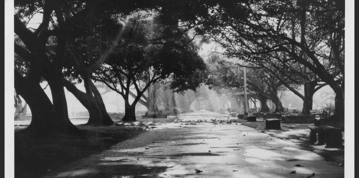 Imagen del parque tomada en 1968 por el abogado Ramón H. Vargas y publicada en el periódico El Mundo.