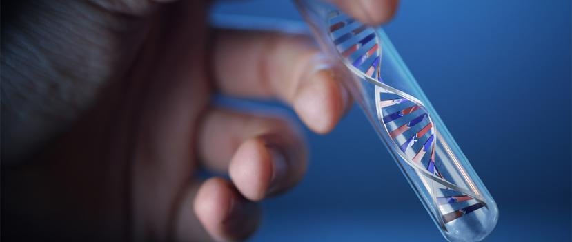 La genética juega un papel importante entre los motivos por los que algunas personas son obesas. (Shutterstock)