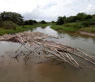 El río Guanajibo, en Mayagüez, es uno de los incluidos en la lista de proyectos de control de inundaciones, indicaron Ariel Lugo y Ruperto Chaparro.