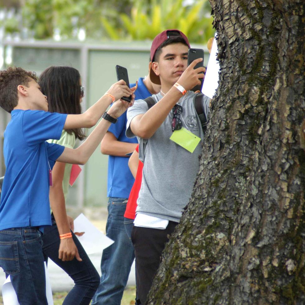 Los estudiantes utilizaron principios geométricos para calcular la altura de los árboles del parque. (Suministrada / Luis Polar)