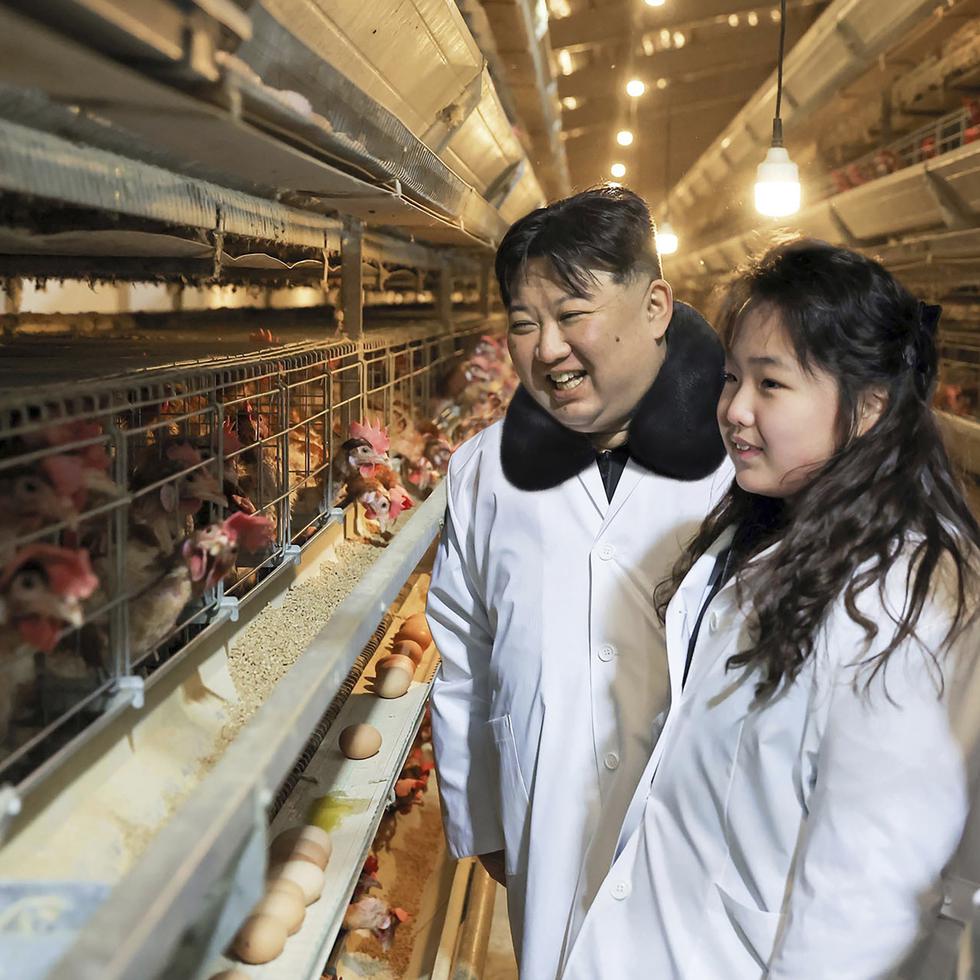 En esta fotografía proporcionada el lunes 8 de enero de 2024 por el gobierno de Corea del Norte, se muestra al gobernante norcoreano Kim Jong-un junto a su hija durante una visita a una granja de pollos realizada el 7 de enero de 2024.
