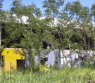 Las instalaciones de la Ciudad Deportiva Roberto Clemente en Carolina siguen abandonadas.
