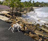 Las marejadas asociadas al huracán Lee provocaron daños, recientemente, en comunidades costeras de Loíza, exacerbando el problema de la erosión.