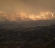 Un incendio arde en zonas de bosque cerca de la ciudad de Alejandrópolis, en la región nororiental de Evros, Grecia.