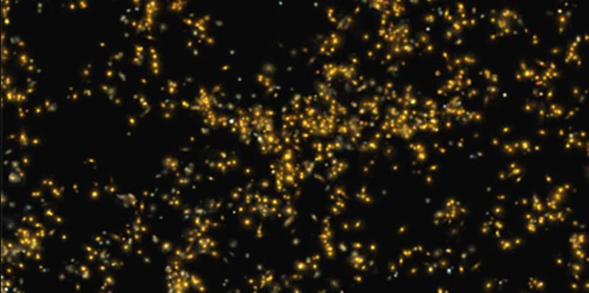 Los supercúmulos de galaxias son las estructuras más grandes descubiertas hasta la fecha por la ciencia y su estudio es relativamente reciente, ya que comenzó en la década de 1980. (Captura / Sloan Digital Sky Survey)