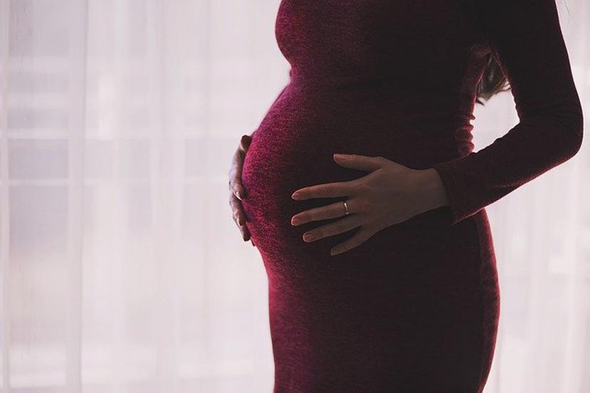 En las series de casos publicados de mujeres embarazadas con el COVID-19, el virus no se ha encontrado en recién nacidos ni en muestras de líquido amniótico o leche materna. (Pixabay)