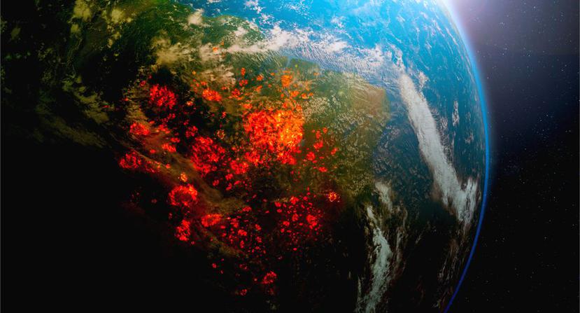 Tan solo en la década de 2000 los incendios acabaron con 85.000 kilómetros cuadrados de bosques primarios en la Amazonia. (Shutterstock)