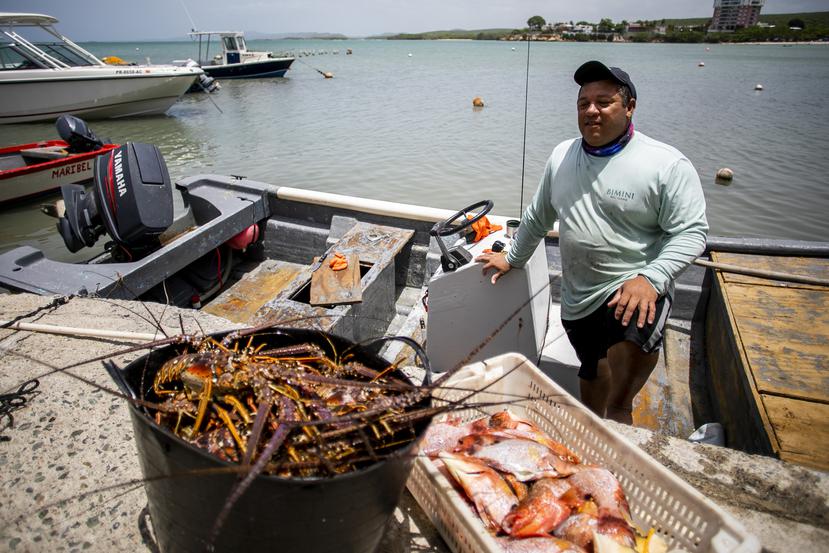 Diariamente los pescadores en Guánica  venden aproximadamente unas 150 libras de productos, siendo la langosta el más solicitado. En la foto, el pescador guaniqueño José Gutiérrez.