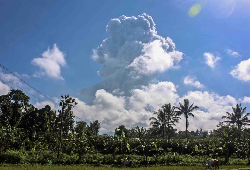 Indonesia es propenso a sismos y actividad volcánica porque se encuentra en el Anillo de Fuego del Pacífico, un arco de fallas en torno al océano. (AP)