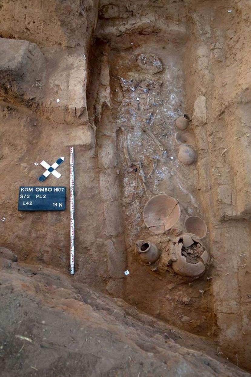 Excavaciones llevadas a cabo por la misión de arqueólogos de Suecia y Egipto (Ministerio de Antigüedades de Egipto).