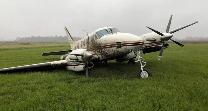 El accidente se cobró la vida del animal, quien fue impactado por la avioneta lo suficientemente fuerte como para desprender la rueda del lateral derecho. (Twitter / Captura)
