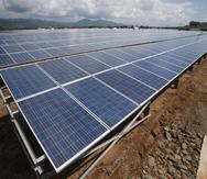 Los proyectos solares aprobados por el Negociado de Energía son a gran escala.