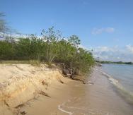 En esta playa al sur de Combate, en Cabo Rojo,  se observan indicadores de erosión, como cortes en la parte superior del depósito y exposición de raíces de vegetación.
