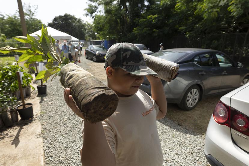 Pablo Méndez Rodríguez, de 9 años, gritaba los pedidos de las especies y las repartía junto a otros voluntarios de PLN.