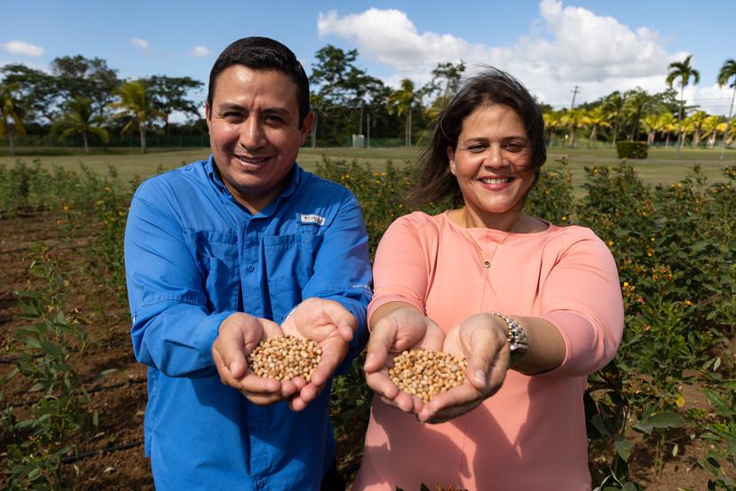Diego Viteri Dillon y Ángela M. Linares Ramírez, catedráticos asociados del Departamento de Ciencias Agroambientales del recinto de Mayagüez de la UPR.