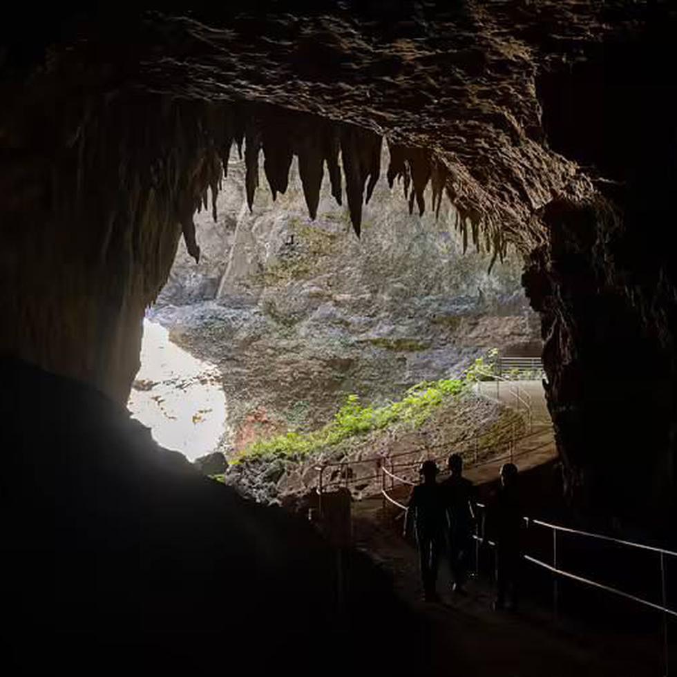 El Parque de las Cavernas del Río Camuy ostenta el tercer sistema subterráneo más grande del planeta.