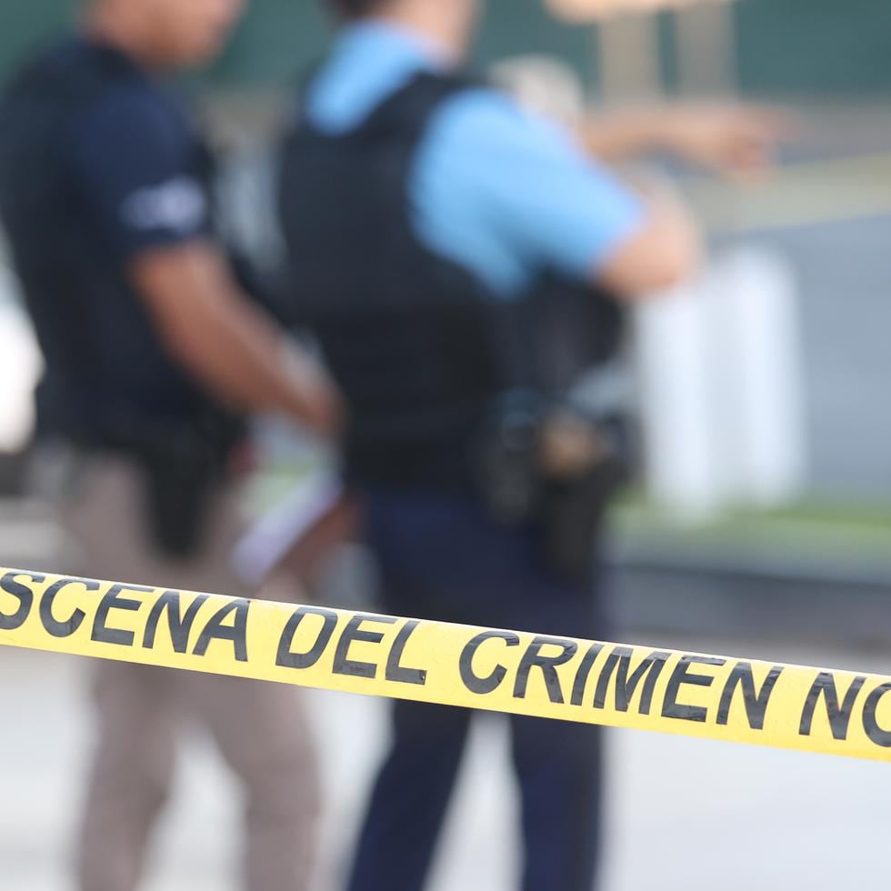 La agente Johana López Santiago, adscrita a la División de Homicidios del Cuerpo de Investigaciones Criminales (CIC) de Carolina, en unión a la fiscal Zulmarie Albeiro Ramos, se hicieron cargo de la investigación.