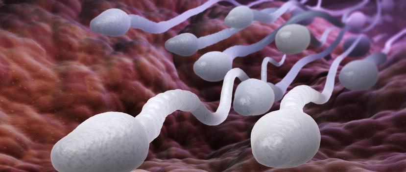 Con la exposición al aire contaminado, un pequeño efecto de unas partículas en la morfología normal del esperma puede provocar infertilidad. (Shutterstock)