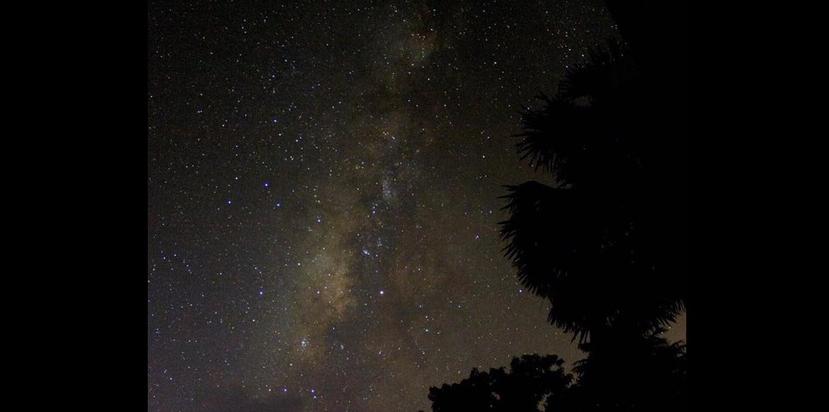 Un impresionante cielo repleto de estrellas se observó en Sabana Grande. (Suministrada / SAC / Johnny Vega Jr.)