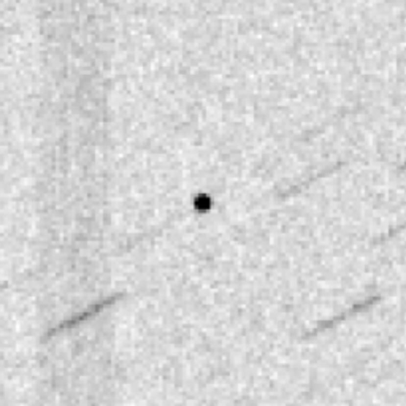 Observación del asteroide "2019 OK", justo antes de su acercamiento el 25 de julio de 2019, por parte de la Red Óptica Científica Internacional (ISON). (S.Schmalz/ISON)