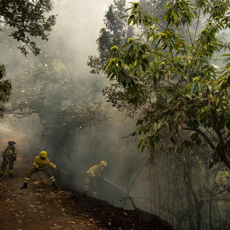 Equipos de emergencias y bomberos trabajan para extinguir las llamas que avanzan por el bosque de La Orotava en Tenerife, Islas Canarias, España, el sábado 19 de agosto de 2023.  (AP Foto/Arturo Rodriguez)
