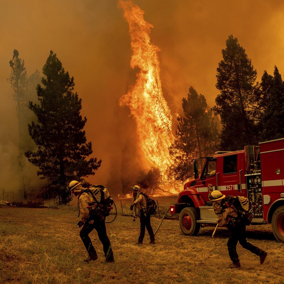 El incendio cerca de Jerseydale, condado Mariposa, California, el 23 de julio de 2022.