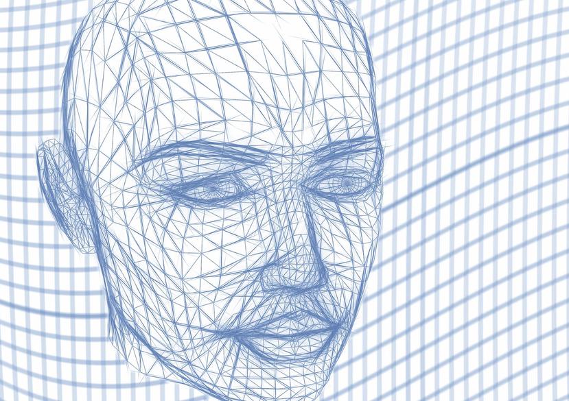 La cara humana representa un conjunto correlacionado y multidimensional de complejos fenotipos. (Gerd Altmann / Pixabay)