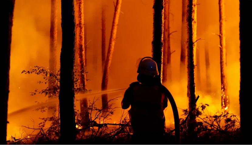 Este año se pronostica una gran temporada de incendios forestales a lo largo de la costa oeste de Estados Unidos (EFE).