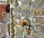 Los agentes ocuparon en las residencias allanadas una "gran cantidad de la sustancia en varios tipos de envases, cocaína y parafernalia".