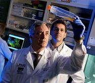 El doctor Camillo Ricordi (al frente), director del Instituto de Investigación de la Diabetes (DRI), es el autor principal de un ensayo sobre el COVID-19.