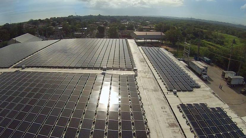 La planta es una de las más grandes de este tipo en Puerto Rico y está compuesta por más de 2,500 módulos fotovoltaicos. (Suministrada)